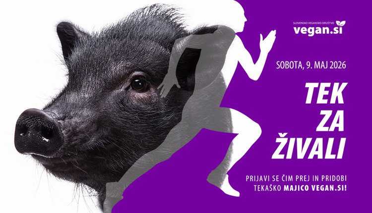 Tek za živali 2026