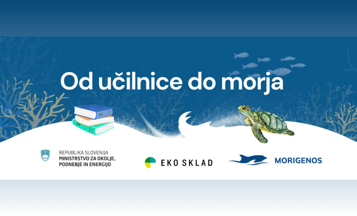 Od učilnice do morja: interaktivna e-učilnica, ki odpira vrata v svet morja